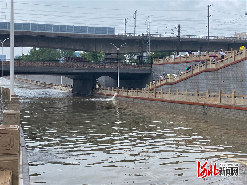 1661566633345888.jpg 16611284695235ltm3tbr21image.jpg