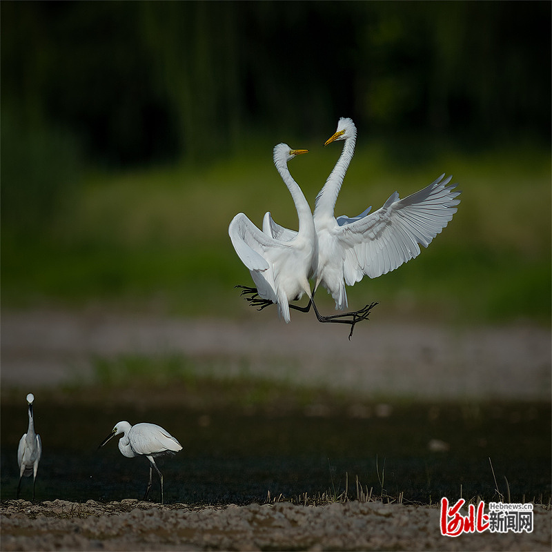 1663249692656334.jpg 微信图片_20220915214613.jpg