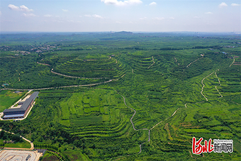 河北沙河：农旅融合田园美1.jpg