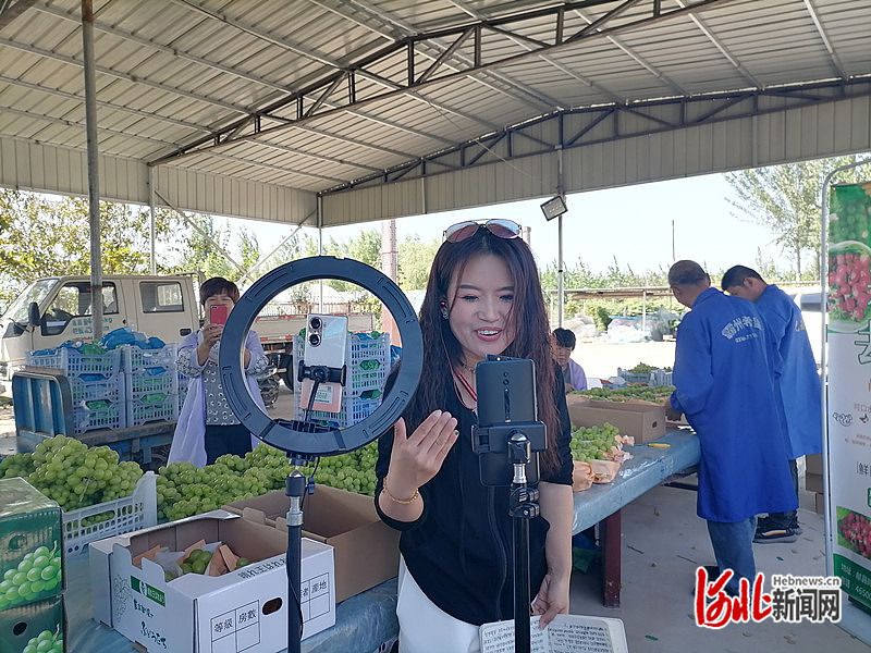 1663745538965542.jpg 在献县陈庄镇七里墩村耀辉家庭农场,“阳光玫瑰”葡萄熟了。献县妇联的工作人员“直播助农”,助力乡村振兴。马梦雅 摄.jpg