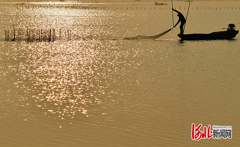 1663746166563493.jpg 波光粼粼的海兴县小山乡蔡庄子村咸水养殖池。苑立伟 摄.jpg