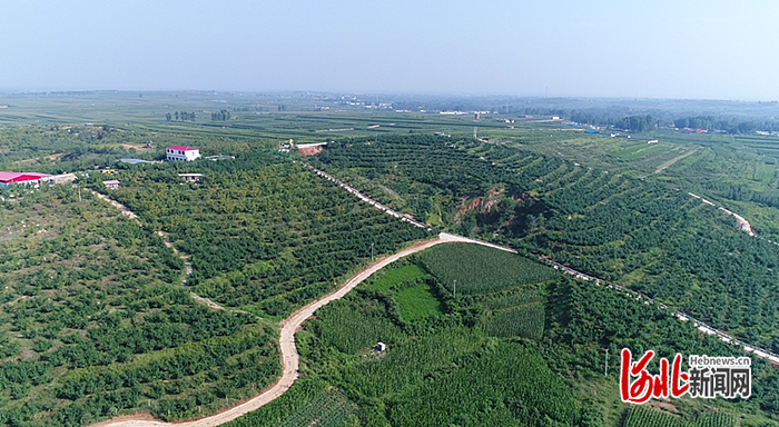 寿桃山庄全景_副本.png