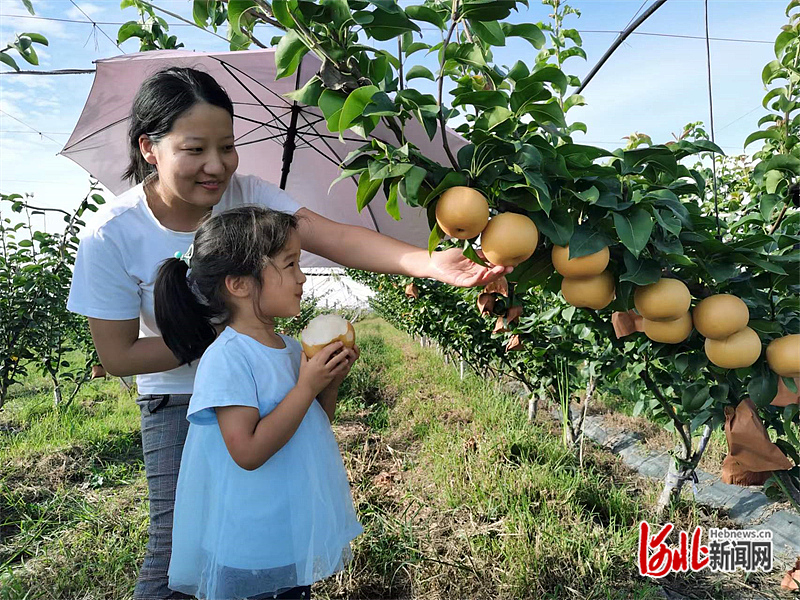 我家旁边那条河④廊坊图片6.jpg