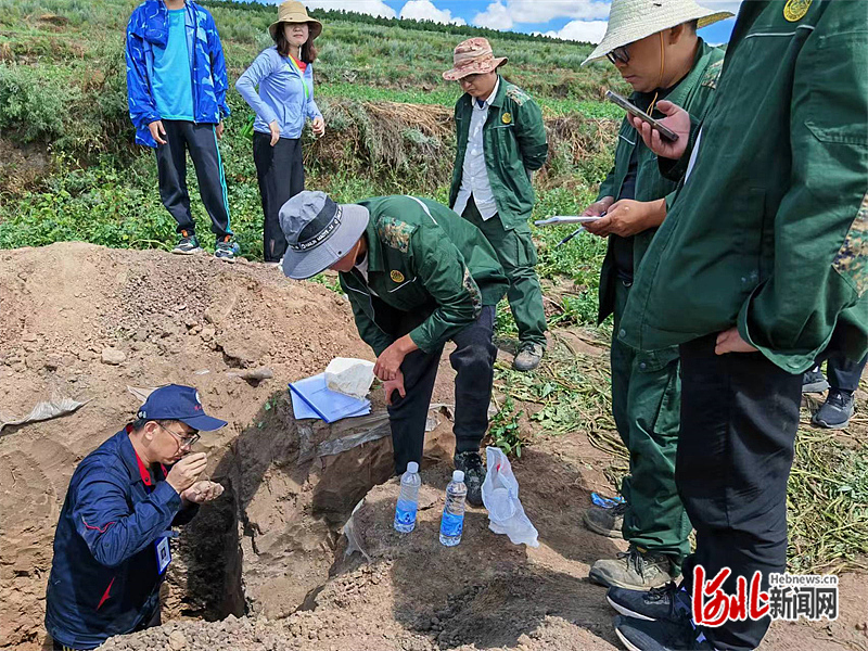 1666819099442698.jpg 10月27日9版 调查片2.jpg