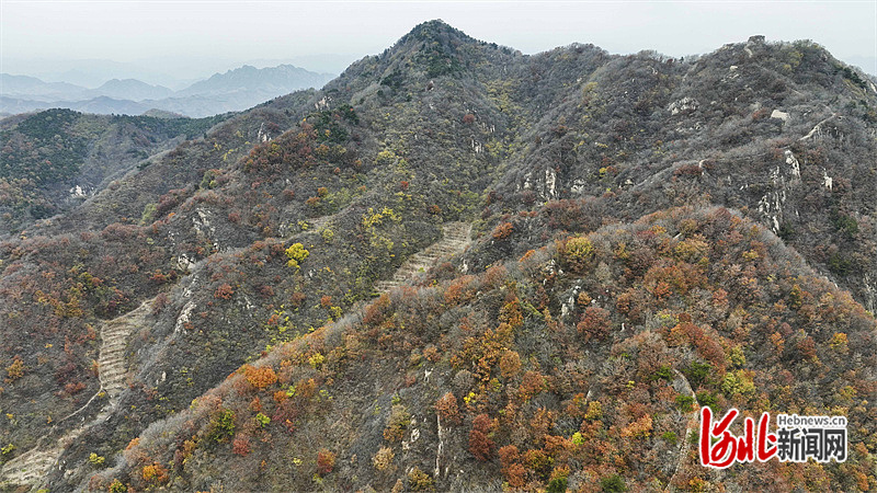 鹫峰山森林公园图片