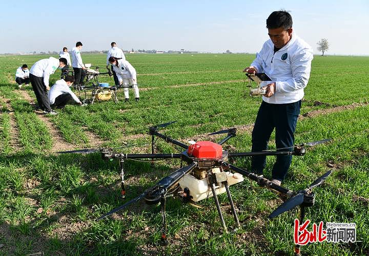 1668710050788158.jpg 河北石家庄栾城区:春草冬治 加强冬小麦管理1.jpg