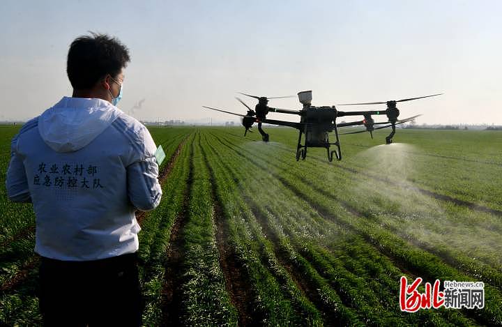 1668710061312570.jpg 河北石家庄栾城区:春草冬治 加强冬小麦管理3.jpg