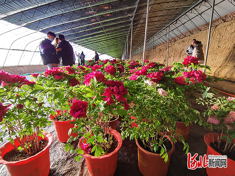 1673435497847116.jpg 赤城1.jpg