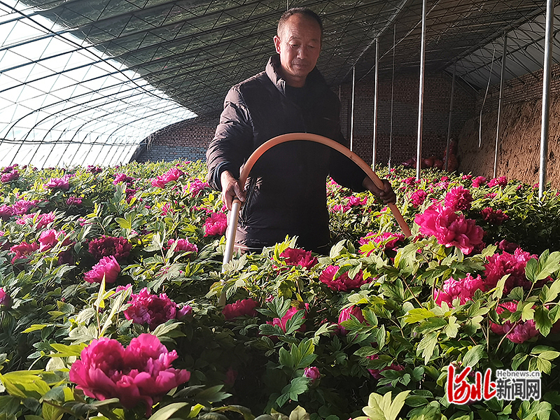 1673435521320288.jpg 赤城2.jpg