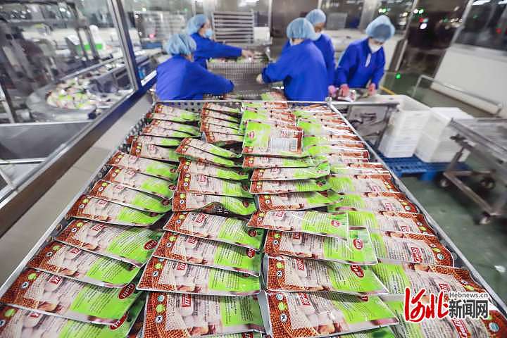 1675274760625574.jpg 河北遵化:出口栗仁加工忙1.jpg