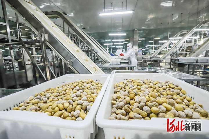 1675274765277114.jpg 河北遵化:出口栗仁加工忙2.jpg