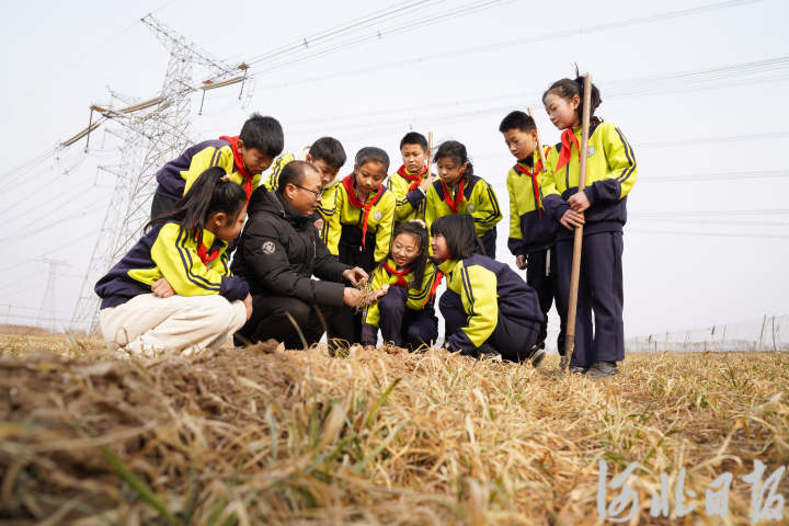 河北内丘：开学伊始劳动课3.jpg