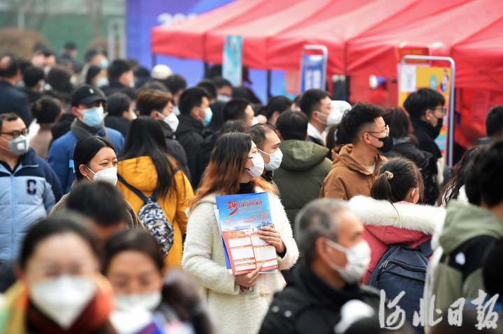 河北省首场大型招聘会3.jpg