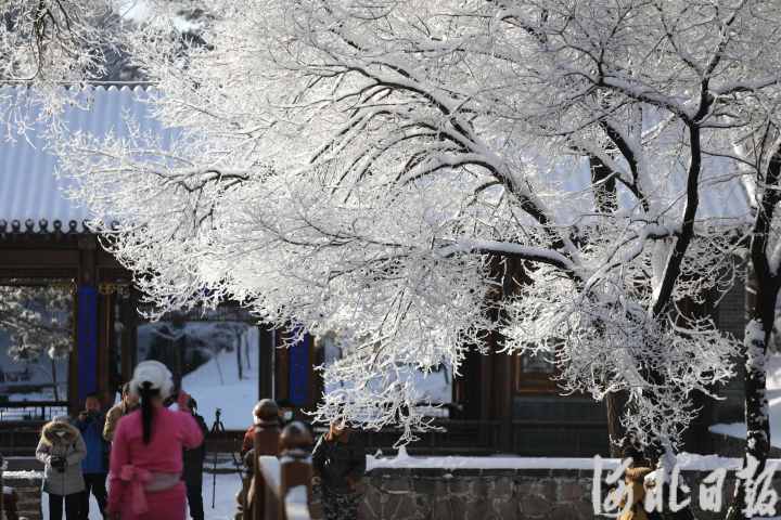 春雪初霁4.jpg