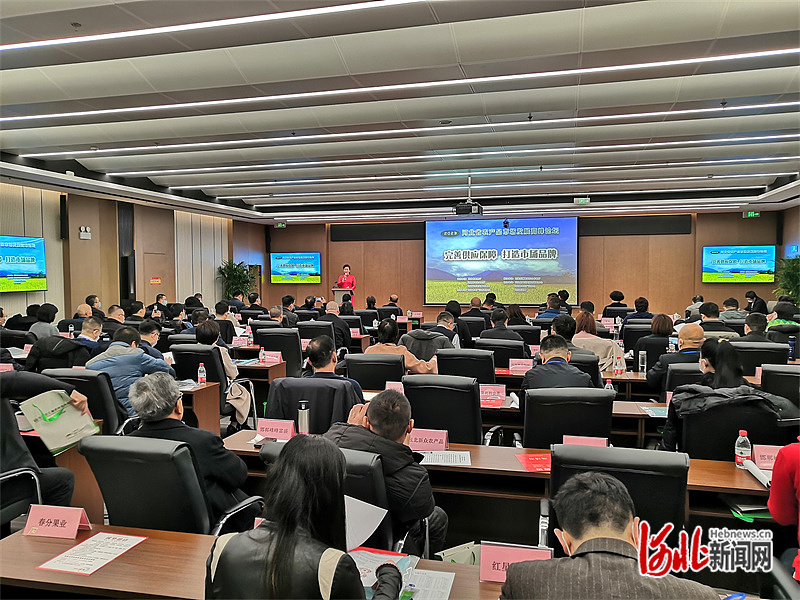 2023河北省农产品市场发展高峰论坛在石召开