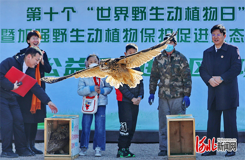 河北秦皇岛：公益诉讼助推野生动植物保护1.jpg