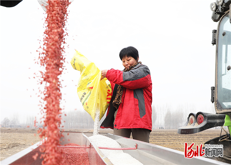 图1：2月28日，唐山市丰润区李钊庄镇杨彬庄村农民将备好的小麦种子、肥料一起放进播种机。.jpg