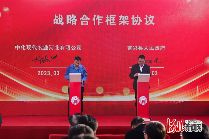 河北定兴：党支部领办土地合作社为乡村振兴注入强大动能