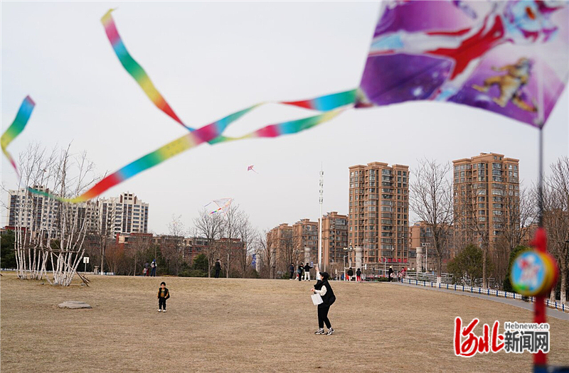 图3：3月8日下午，家长带着孩子在开平公园放风筝。.jpg