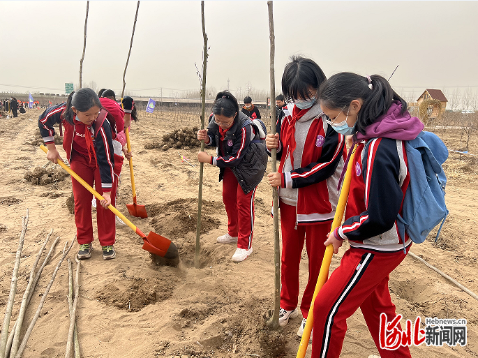 石家庄市石岗大街第二小学学生参加公益植树活动