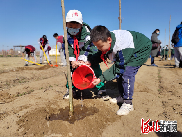 石家庄市盛世长安小学学生参加植树节公益活动