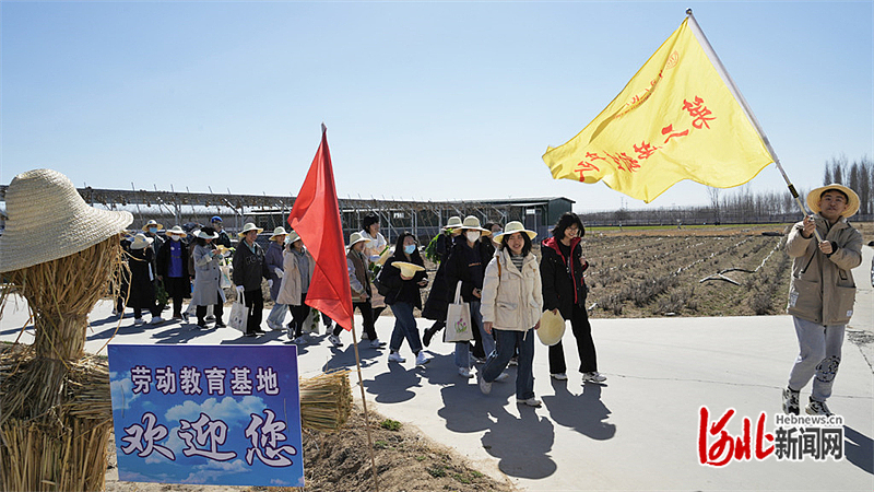 河北涿州：大学生进田间1.jpg