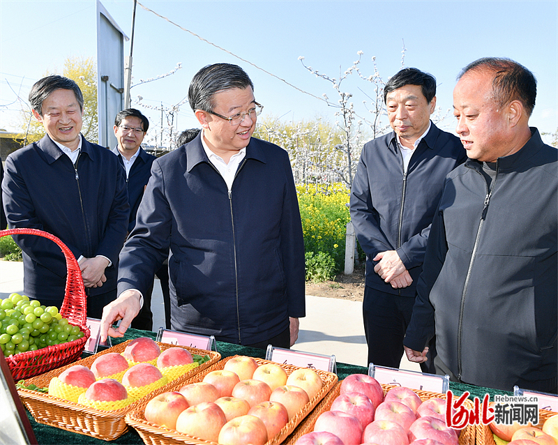 倪岳峰在位于衡水市2.jpg