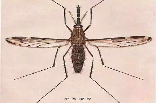 1681734687331240.jpg 微信图片_20230417203111.jpg