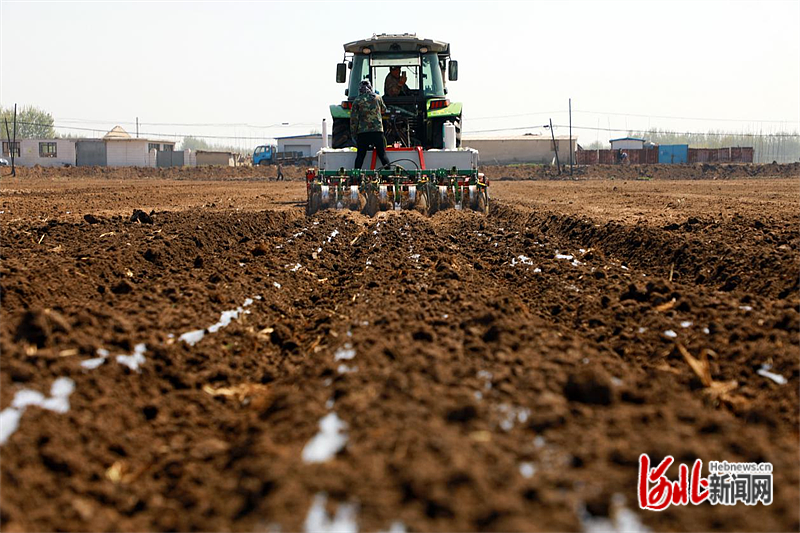 图片 3：滦南县柏各庄镇甜井庄村农民正在驾驶播种机进行播种作业。.png