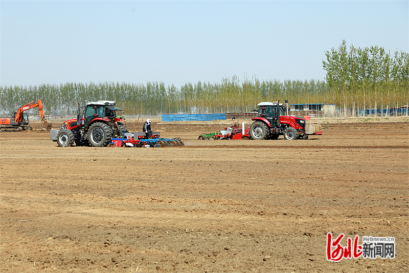 图片 4：滦南县柏各庄镇甜井庄村农民正在驾驶播种机进行播种作业。.png