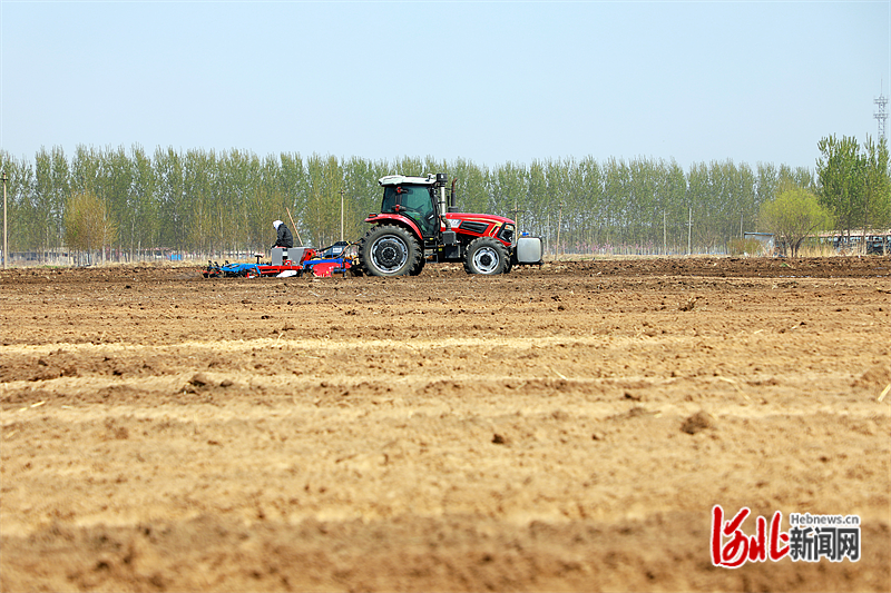 图片 6：滦南县柏各庄镇甜井庄村农民正在驾驶播种机进行播种作业。.png