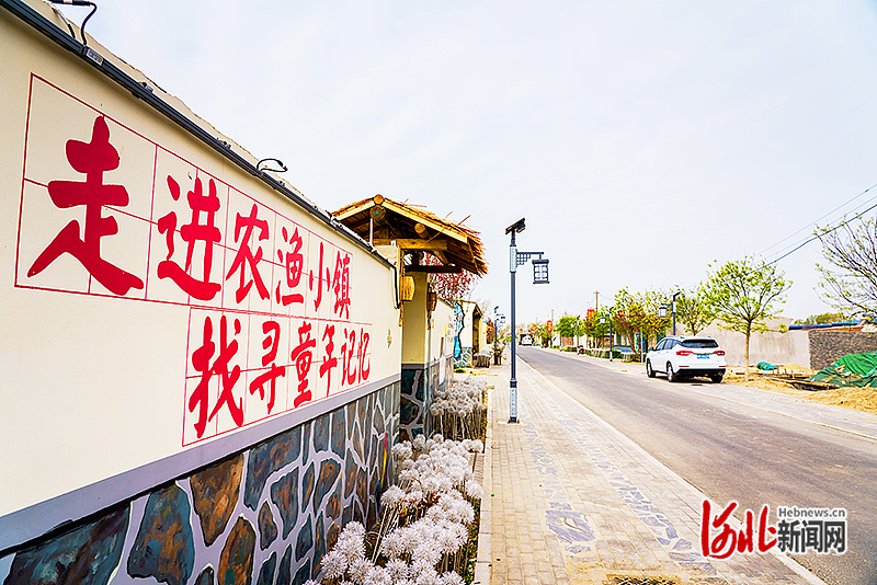 开云 开云体育官网去乐亭赴一场春天的约会(图5)