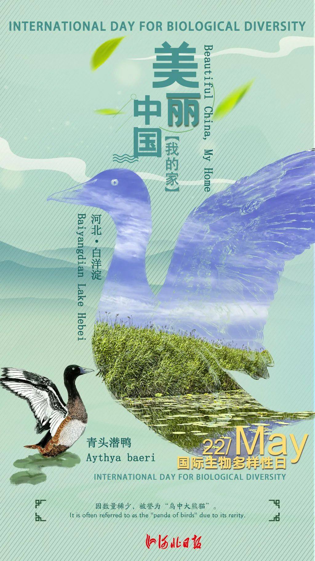 海报五省接力晒美丽中国我的家