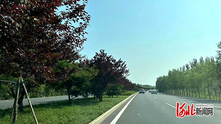 火狐电竞秦皇岛市北戴河区绿化补植工作完成(图1) 火狐电竞秦皇岛市北戴河区绿化补植工作完成(图1)