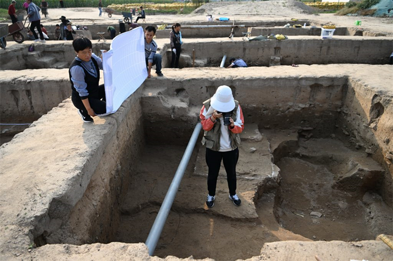 j9九游会官方登录|河北隆尧柏人城遗址第四次考古发掘工作持续进行