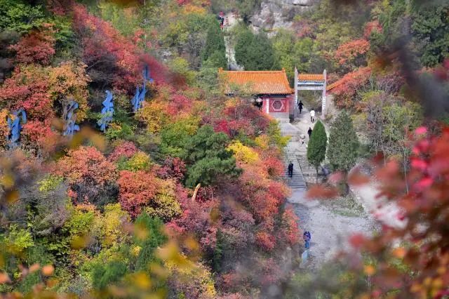 专线开通！今日起，市区可直达华北最大红叶观赏区仙台山风景区|雷火电竞首页