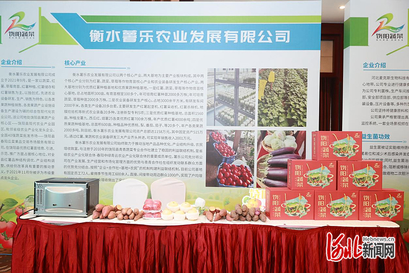 现场签约6700万元！饶阳蔬菜区域公用品牌发布会在石家庄举行多米体育(图1)