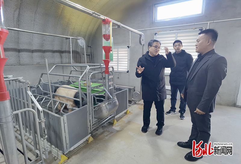 河北省现代农业产业技术体系生猪创新团队赴沧州调研培训高素质农民