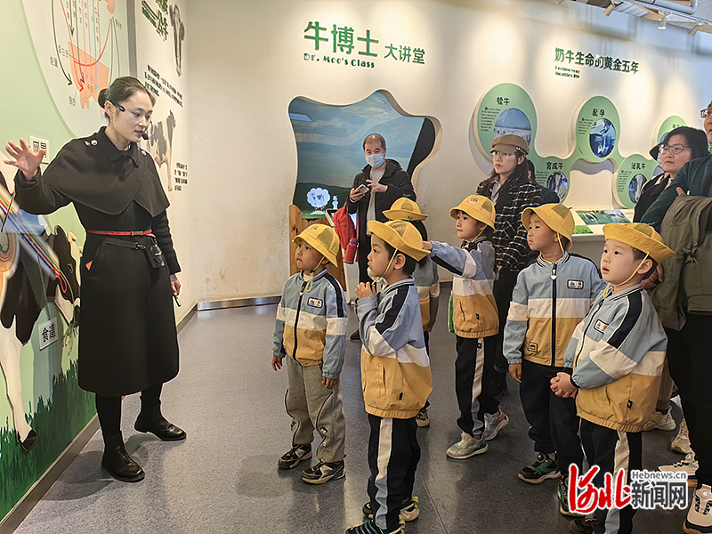 户外拓展环节,教师安排了溜溜布,放风筝等亲子游戏,锻炼了幼儿的体能