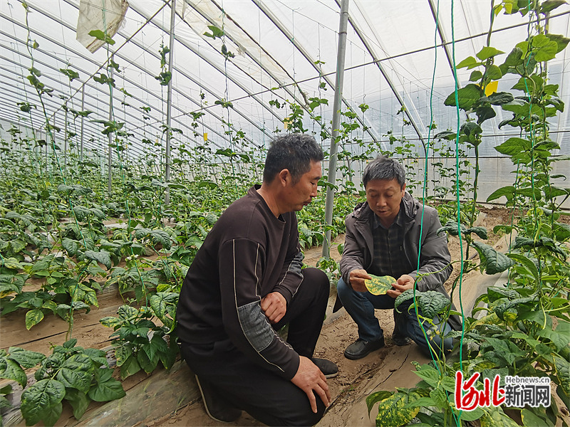 爱游戏注册人物｜给新农夫授课的人