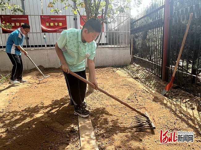 南宫NG·28(中国)官方网站石家庄市桥西区第二届中小学生劳动技能大赛举办(图2)