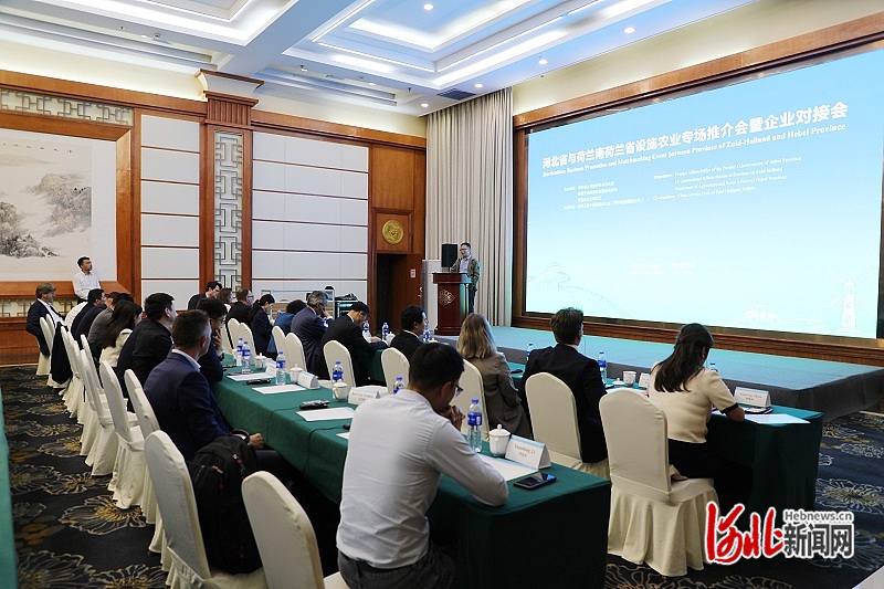 河北省与南荷兰省设施农业专场推介会在石家庄举行凯发国际