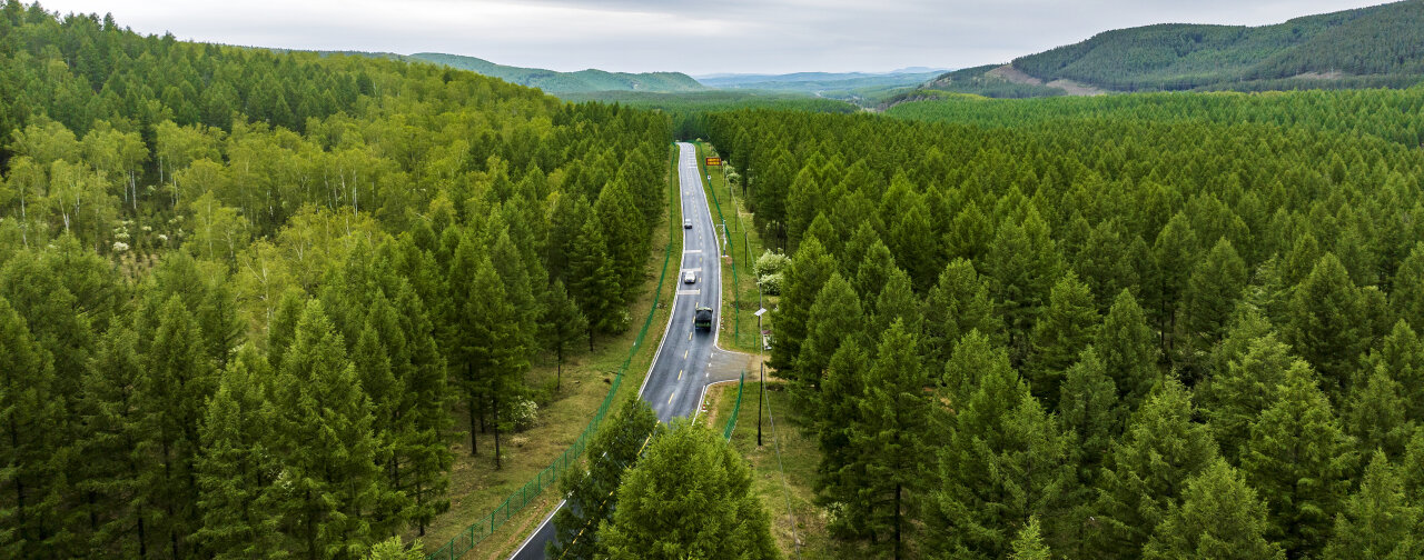 影像记录|塞罕坝的"二次创业"路