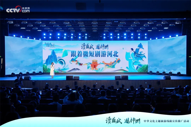定州网站设计趋势分析与建议