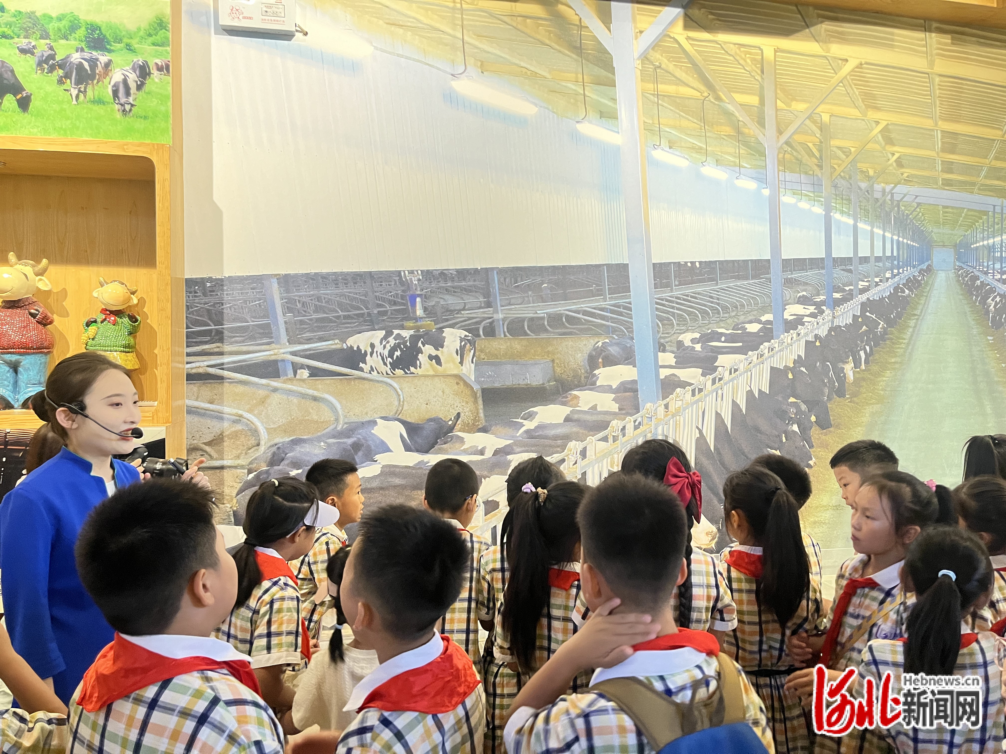 67石家庄东马路小学四(9)中队实践研学走进君乐宝优致牧场