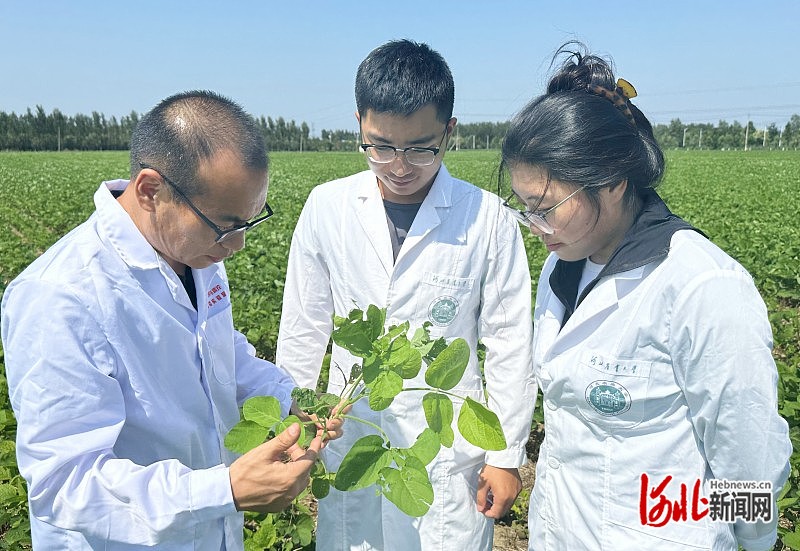 Weixin Image_20240819114853.jpg