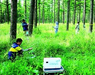 火狐电竞林海叠翠 绿野新程——河北塞罕坝机械林场生态文明建设的实践与启示(图4)