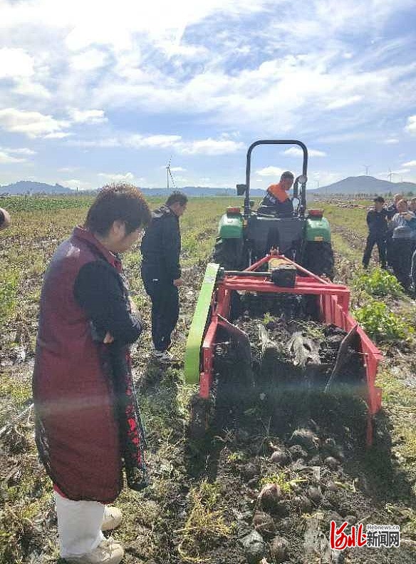 bwin网站：河北省首次开展露地洋葱全程机械化技术装备试验观摩(图4)