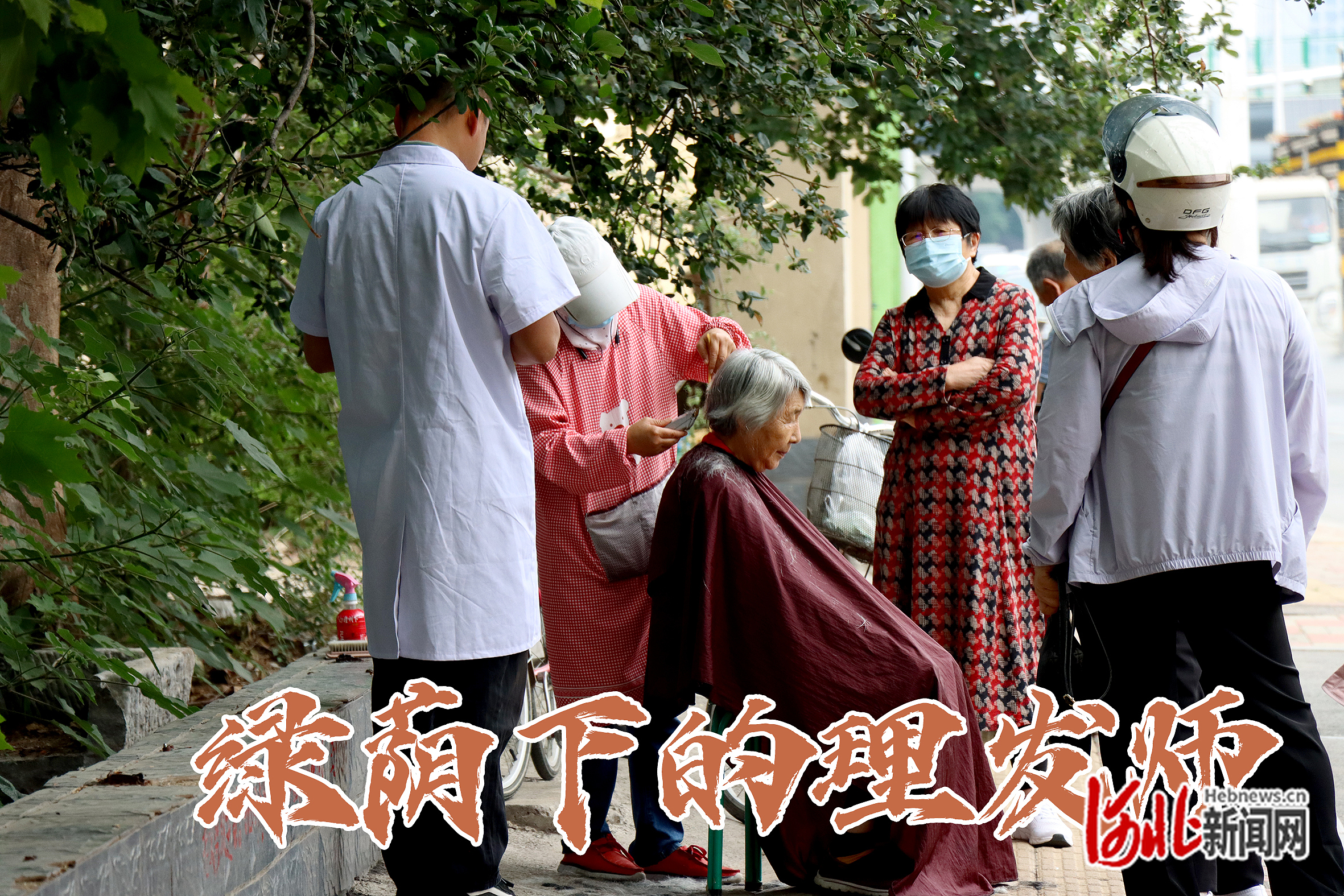 纵览·9张｜绿荫下的理发师(图2)