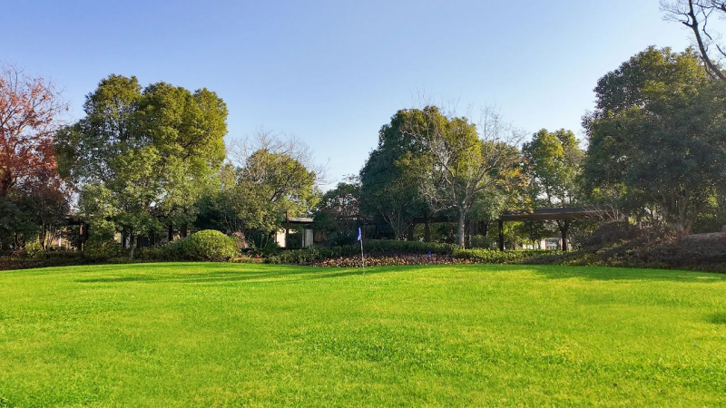 阳光人家佘山高端康养社区开园(图4)